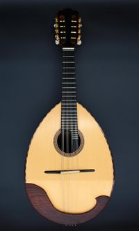 Mandoline Palisander 3